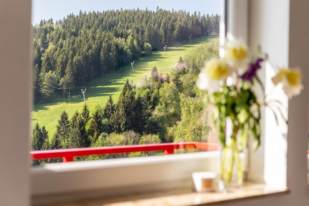 Apartmany Nad Slikovkou Jáchymov Zewnętrze zdjęcie