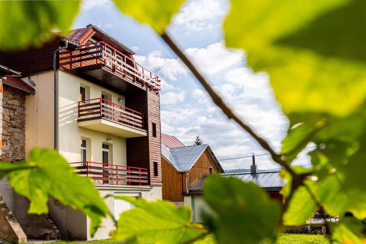 Apartmany Nad Slikovkou Jáchymov Zewnętrze zdjęcie