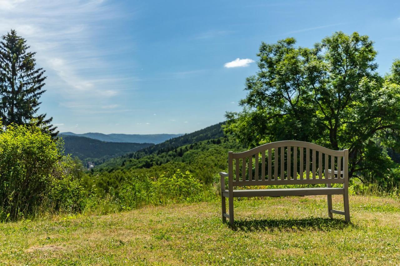 Apartmany Nad Slikovkou Jáchymov Zewnętrze zdjęcie